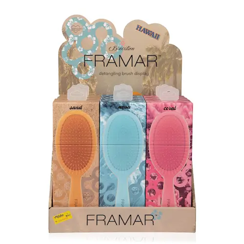 Detangle Brush Display - Baecation 9 st